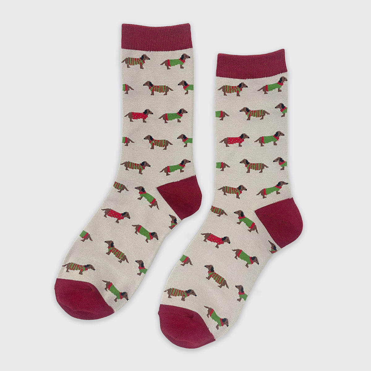 Dachshund Natural and BurgundySocks - Millie Mae